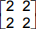 A 2 by 2 matrix. The values in Row 1 are 2 and 2. The values in Row 2 are 2 and 2.